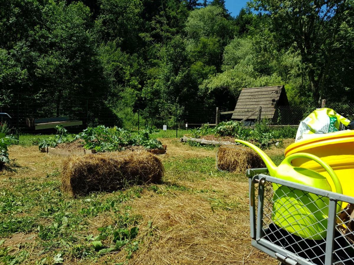 Vvf Sud Aveyron Hotel Brusque Kültér fotó